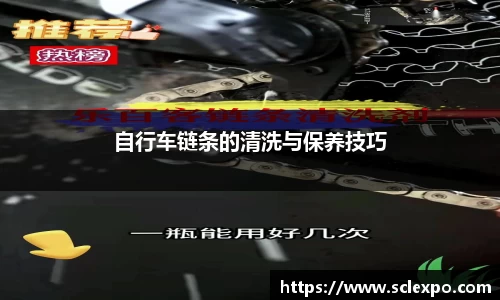 自行车链条的清洗与保养技巧