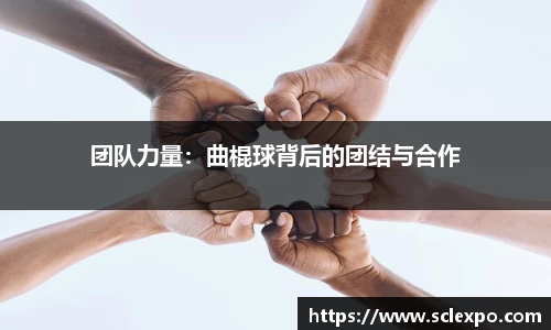 团队力量：曲棍球背后的团结与合作