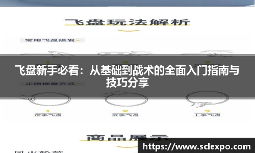 飞盘新手必看：从基础到战术的全面入门指南与技巧分享